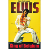 Elvis Presley - King of Belgium (boek)
