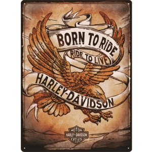 Harley-Davidson Born To Ride Ride To Live - Metal sign/metalen plaat 23317
