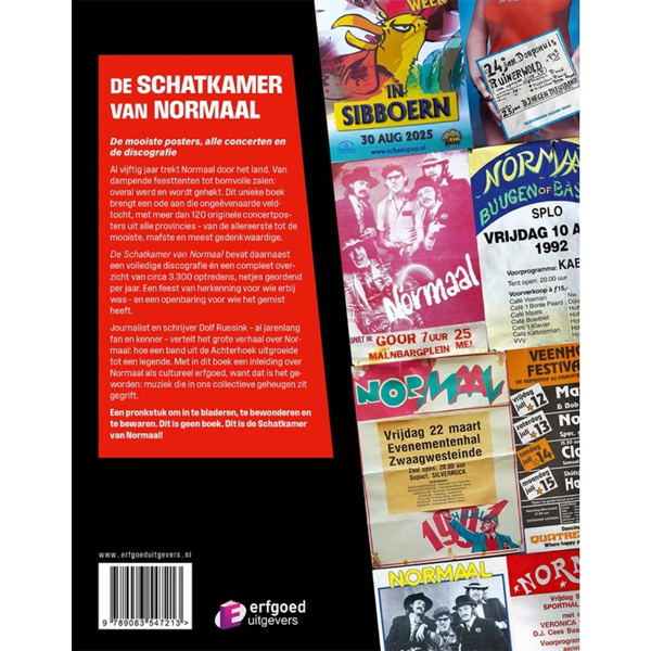 Normaal - De Schatkamer Van Normaal - Dolf Ruesink (boek) - Afbeelding 2