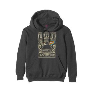 Pink Floyd - Carnegie Hall Poster Hoodie/trui
