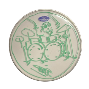 Drumvel (17) getekend door Cesar Zuiderwijk