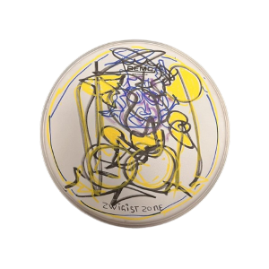 Drumvel (13) getekend door Cesar Zuiderwijk