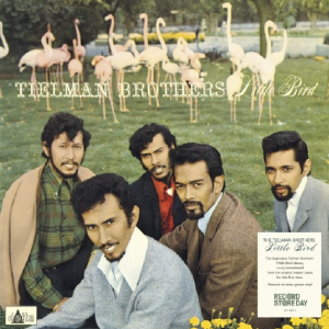 Tielman Brothers - Little Bird RSD 2026 (LP) Coloured (moss green)