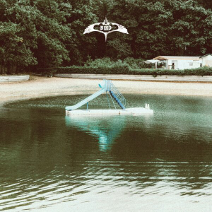 Bird Experience - The Bird Experience (LP) Coloured (Transparant rood) *Pre-order*